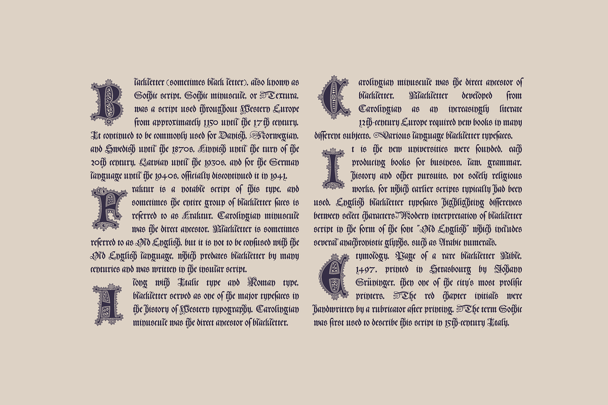 Latin Initials Gothic font family, a Blackletter Font by kaer_shop (Photo 11 of 12)