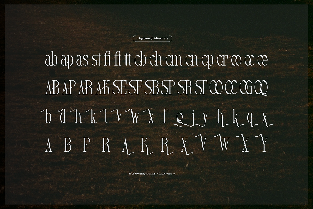 Arkvell | Modern Display Serif, a Serif Font by gracetype_studio (Photo 12 of 12)