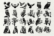 Owl svg bundle. Owl and moon, an Animal Illustration by DENIDigitalArtSudio (Thumbnail 3 of 6)