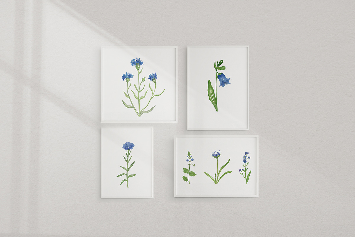 Wildflowers stories, an Illustration by Visual Animal (Photo 4 of 7)