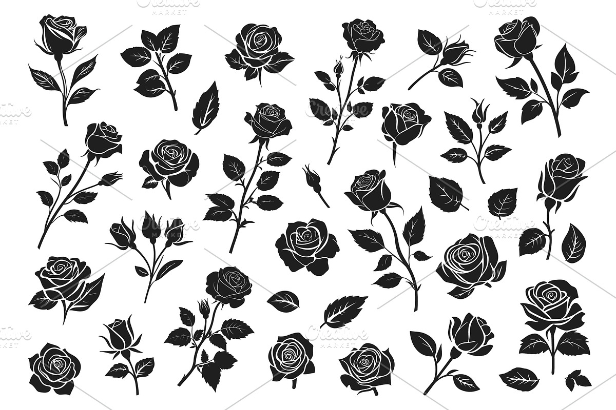 Rose black silhouette set. Flower, an Object Illustration by Valerie Bodnar