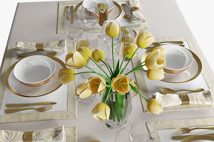 Table Setting 08