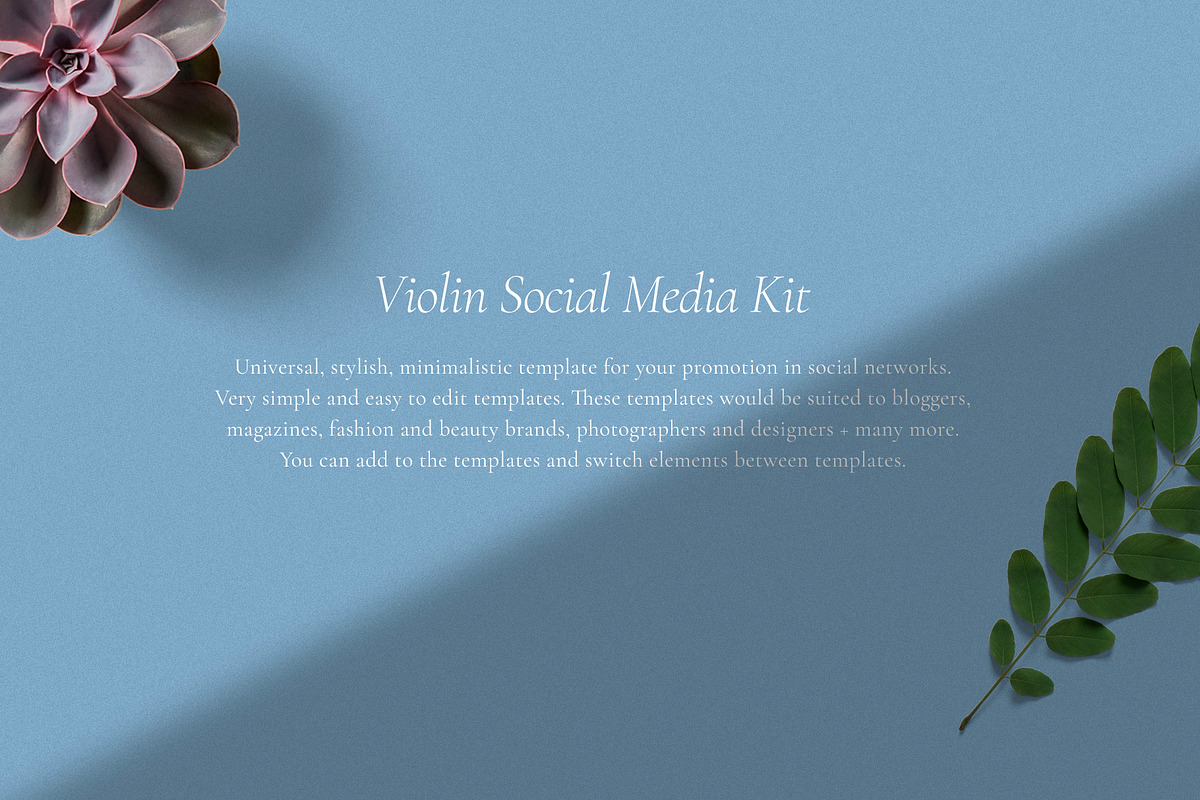 Violin Social Media Kit, a Social Media Template by Amirzhanuly (Photo 2 of 16)