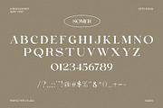 Somer Elegant Serif Font Typeface, a Serif Font by Perfectype (Thumbnail 6 of 6)
