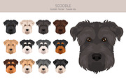 Scoodle, Scottiepoo dog mix, an Animal Illustration by pet design shop (Thumbnail 5 of 6)
