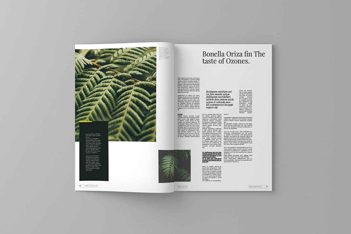 Garden And Leaves Magazine Template, a Magazine Template by spidergraph (Photo 12 of 16)