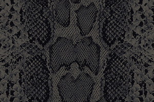 Snake Skin Pattern