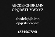 Strange - Soft Serif, a Serif Font by Mikhail Kitsune (Thumbnail 10 of 11)
