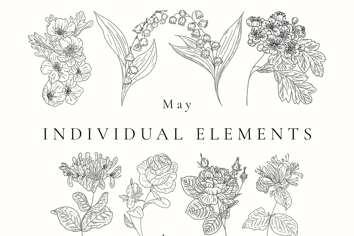 Birth Month Flowers SVG - PNG, a Decorative Illustration by AW Studios (Photo 5 of 11)