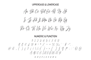 Doctor Signature | Script Font, a Script Font by Scratchones (Thumbnail 3 of 8)