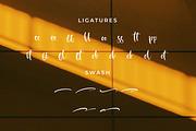 Kerlloty, a Script Font by Integritype Studio (Thumbnail 11 of 15)