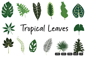 14 Tropical Leaves Hand Drawn