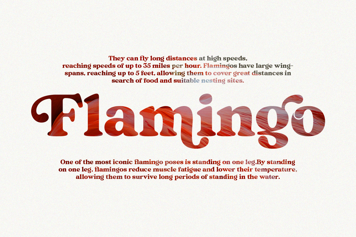 Mint And Sage, a Serif Font by Attract Studio (Photo 16 of 21)