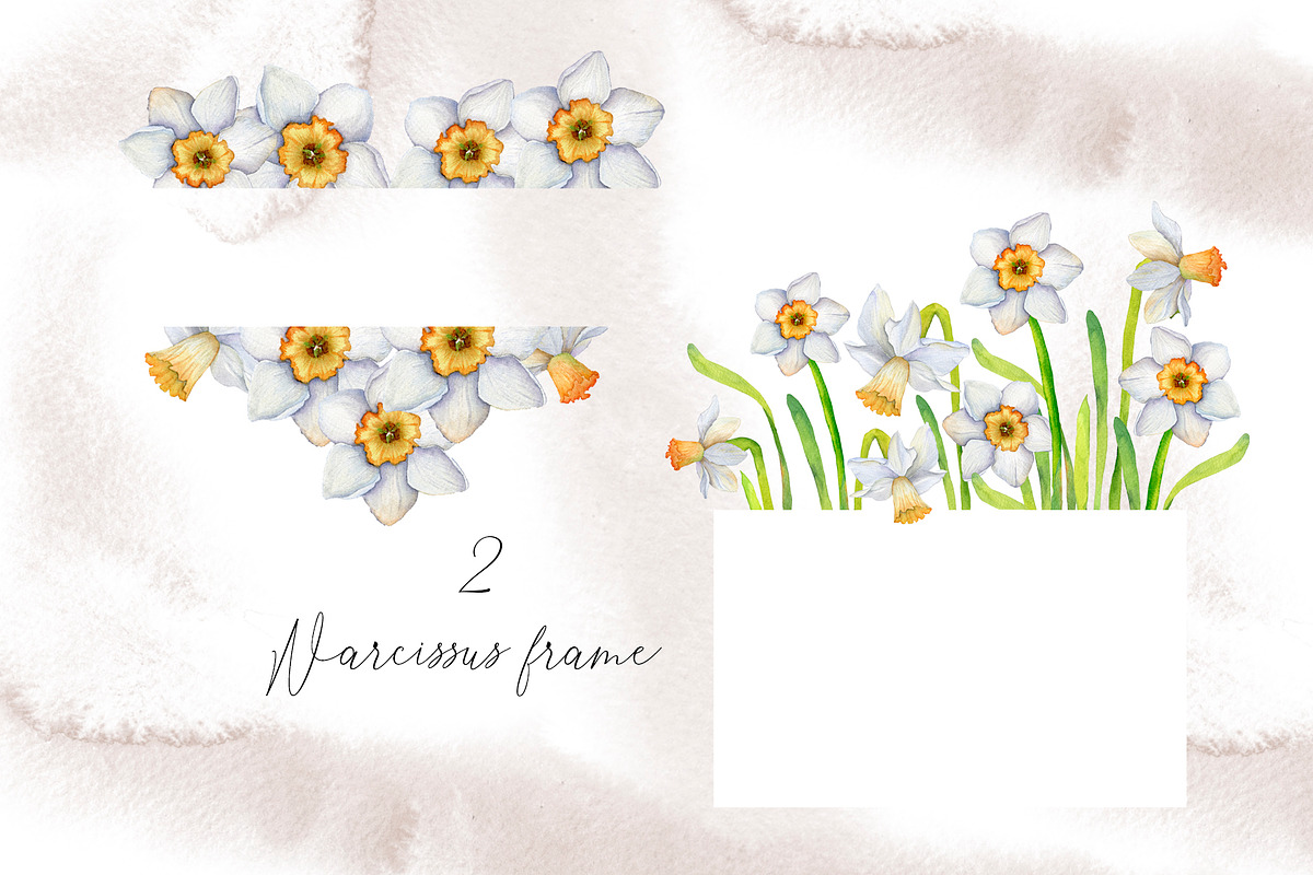 Narcissus mood & little things, an Illustration by WatercolorAnn (Photo 10 of 11)