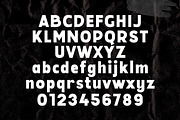 Travel Growth Vintage Font Duo, a Sans Serif Font by Lettertype Studio (Thumbnail 13 of 15)
