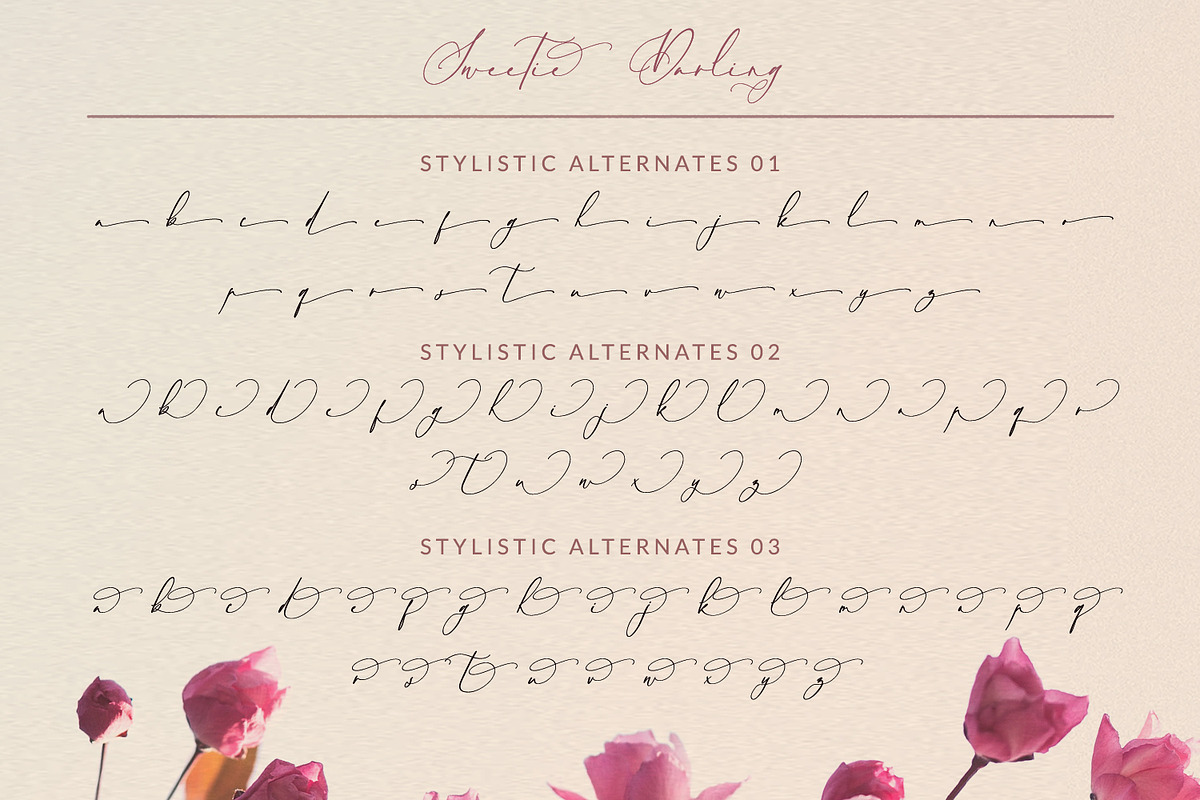 Sweetie Darling, a Script Font by Nathatype (Photo 9 of 11)