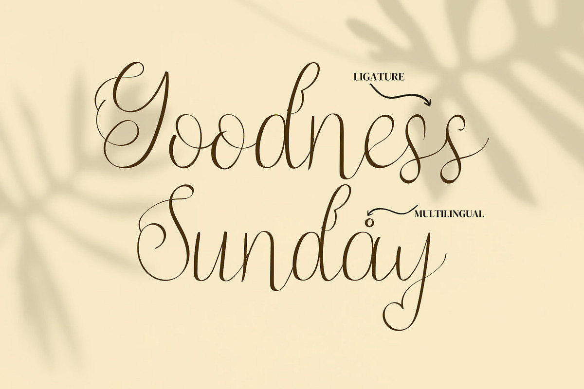 Jump Wings Script Fonts, a Script Font by mahstudios (Photo 11 of 15)