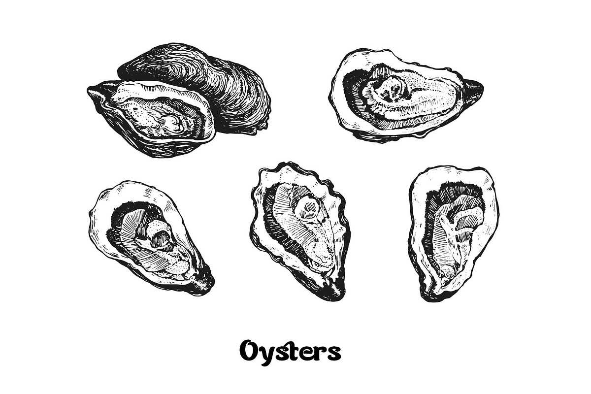 Seafood collection_part 1, a Food Illustration by ZotovShop (Photo 5 of 11)