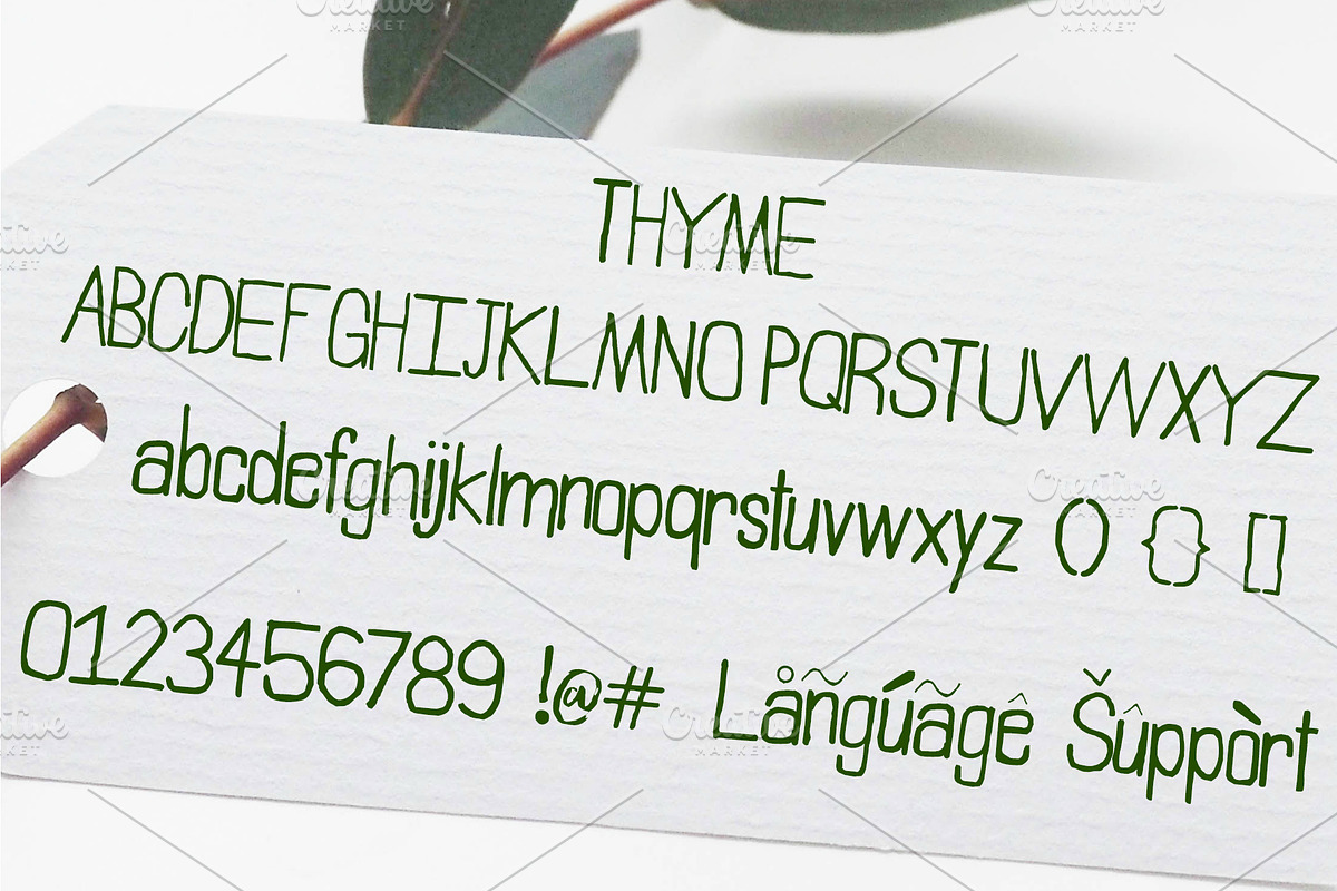 Willow & Thyme with Logo Ornaments preview 3