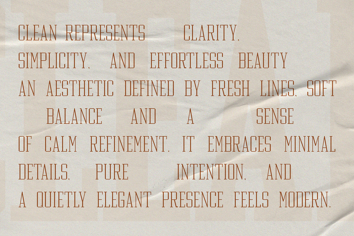 Quickly — Variable Slab Serif Font, a Slab Serif Font by Almeera Std (Photo 8 of 9)