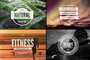Vintage Logo/Insignia Collection 3, an Object Graphic by TomAnders (Thumbnail 2 of 5)
