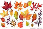 Watercolor Autumn Leaves Clipart, an Illustration by Amanda Ilkov (Thumbnail 3 of 3)