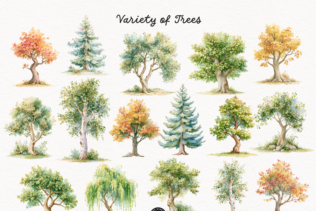 Woodland Atelier Clipart Bundle, an Animal Illustration by PaintPixelCo (Photo 4 of 15)