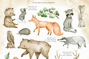 Watercolor woodland animals set, an Animal Illustration by OrangePeafowlArt (Thumbnail 2 of 14)