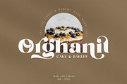 Balkind - Modern Beauty Serif Font, a Serif Font by Ekahermawan (Thumbnail 17 of 25)