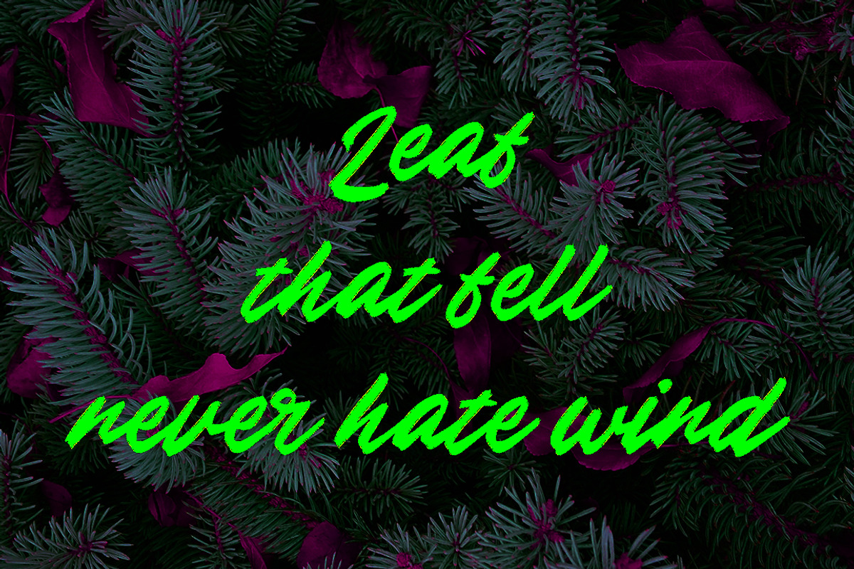 Babylonia, a Script Font by Gatype (Photo 9 of 10)