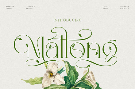 Mallong Typeface, a Serif Font by alit design
