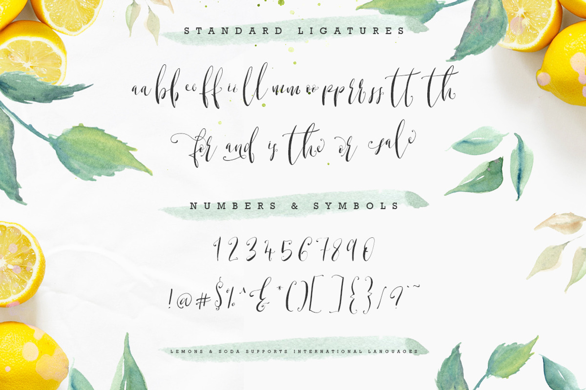 Lemons & Soda Script Font, a Script Font by Creativeqube Design (Photo 14 of 17)
