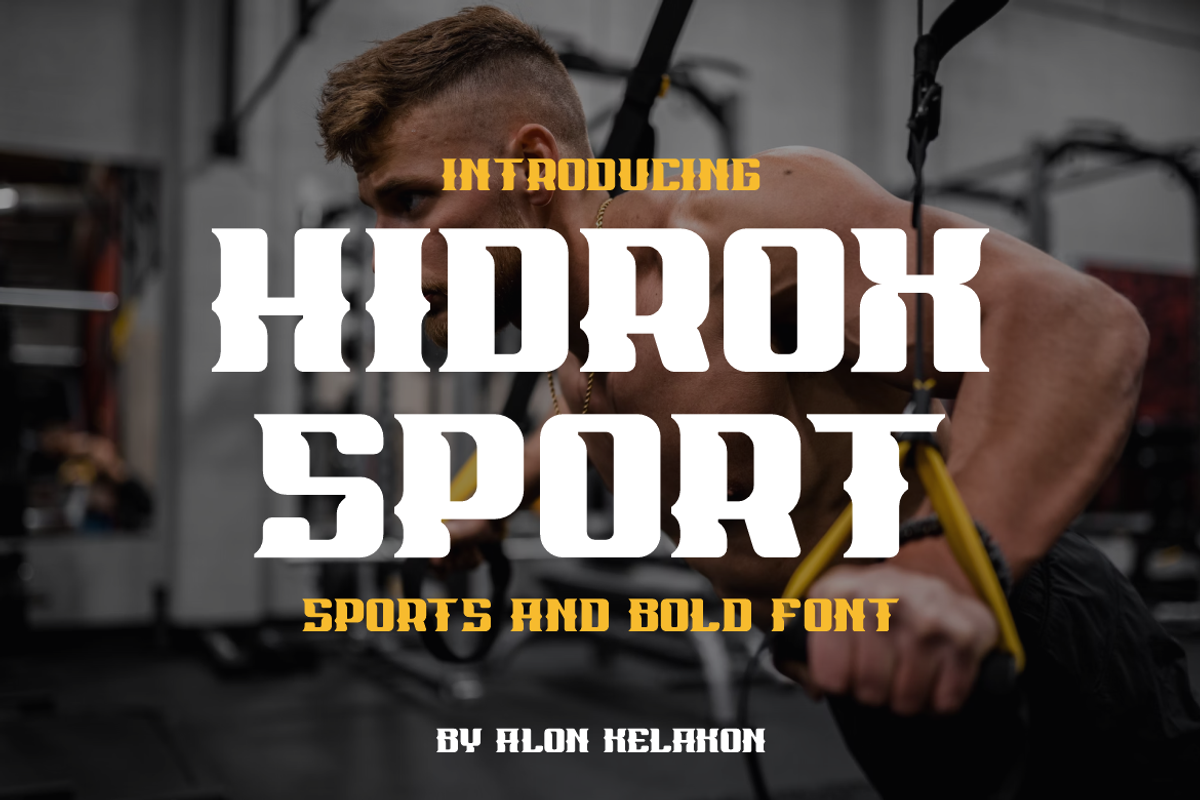 Hidrox Sport, a Serif Font by alon kelakon (Photo 1 of 6)