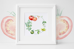 Watercolor Tomato Life Cycle Set