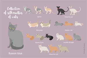 46 Cats Silhouettes Clipart