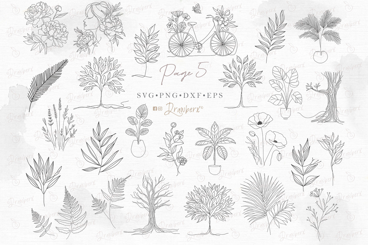 Floral Line Art illustration svg 150, an Illustration by Drawberx (Photo 13 of 13)