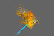 Abstract Paint Photoshop Action, an Action Add-On by MRI STUDIO (Thumbnail 13 of 18)