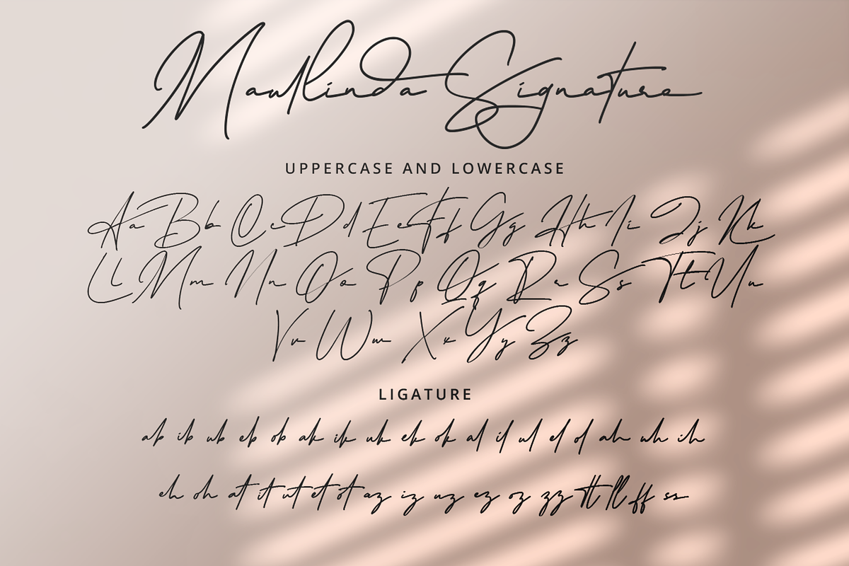 Maullinda Signature - Signature Font, a Script Font by overlaytemplates (Photo 4 of 6)