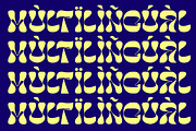 Woreby - Display Font, a Symbol Font by NuType (Thumbnail 8 of 9)