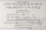 Sometime | Script Font, a Handwritten Font by Scratchones (Thumbnail 7 of 9)