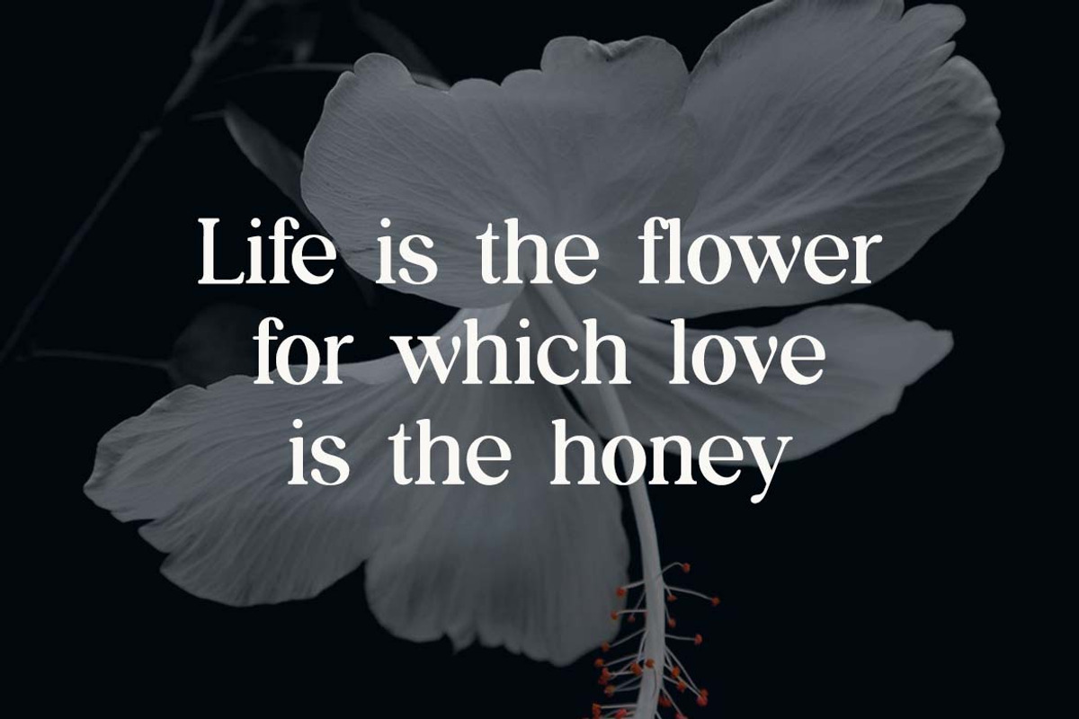 Fairytale Serif Classic Family Font, a Serif Font by UICreative (Photo 12 of 12)