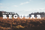 BOAR TUSK Font Family, a Slab Serif Font by Zone 6 (Thumbnail 3 of 8)
