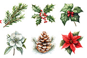 Festive Florals & Pinecones Clipart, an Illustration by Daily.Designs (Thumbnail 3 of 5)