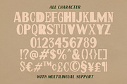 Rustic Changer Display Font, a Sans Serif Font by Letterhend Studio (Thumbnail 9 of 11)
