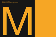 Uncmmn Nominee Sans Serif 21 Style, a Font by Kotivoro (Thumbnail 13 of 30)
