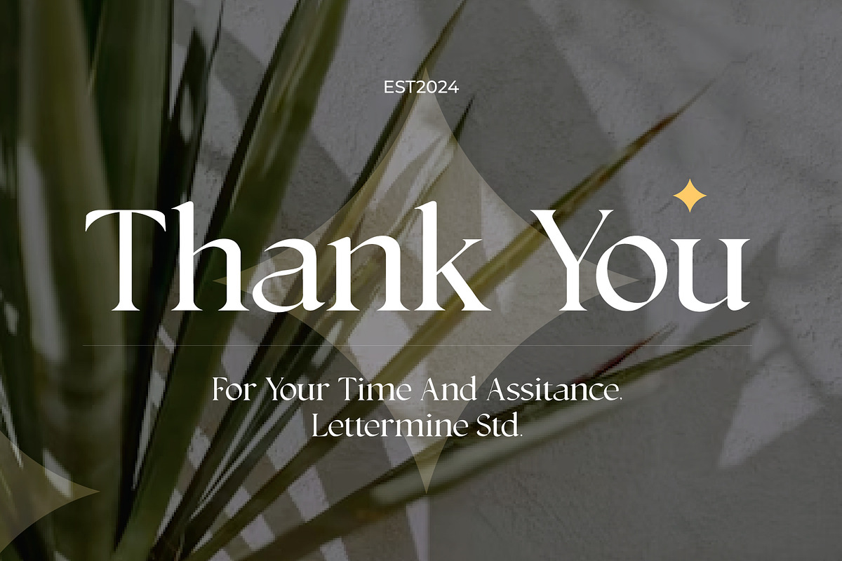 Insomatte - Modern Serif, a Serif Font by Lettermine (Photo 10 of 10)