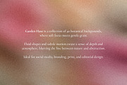 Garden Haze - Blurry Backgrounds, a Background Graphic by Dina Mae (Thumbnail 2 of 14)