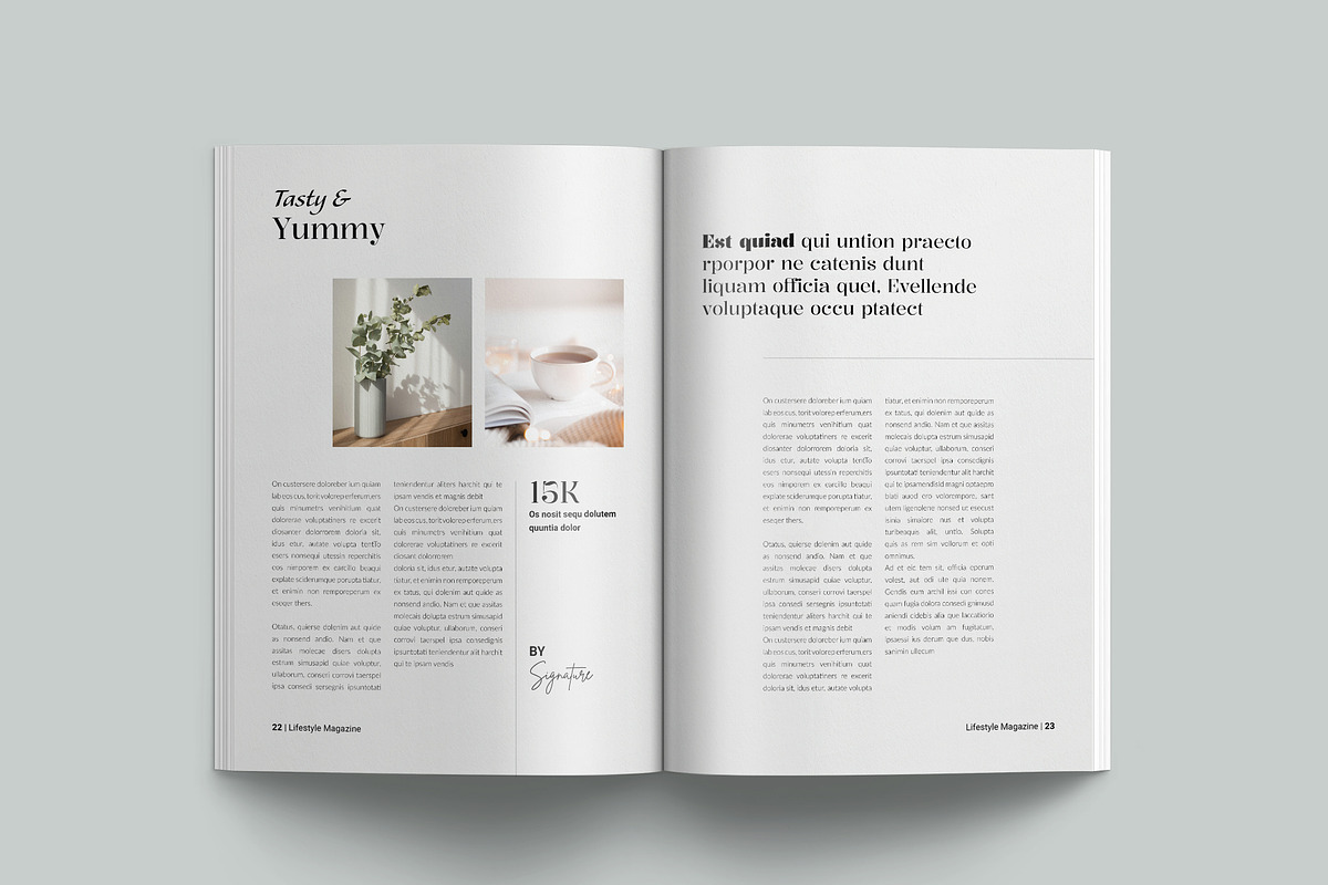 The Lifestyle Magazine Template, a Magazine Template by NorthPeak (Photo 9 of 13)