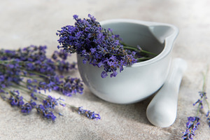 Lavender flowers in mortar for aromatherapy preparation, a Health & Medical Photo by Olena Rudo
