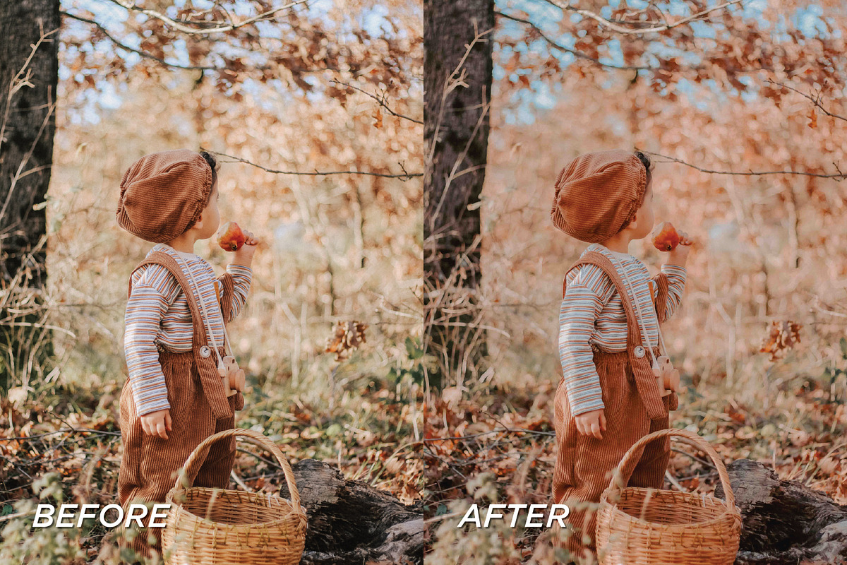 15 Fall Lightroom Presets, a Preset Add-On by TheWayfarerShoppe (Photo 5 of 8)